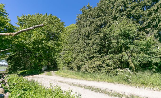 Maison de vacances  Bastogne pour 12 personnes en Ardenne