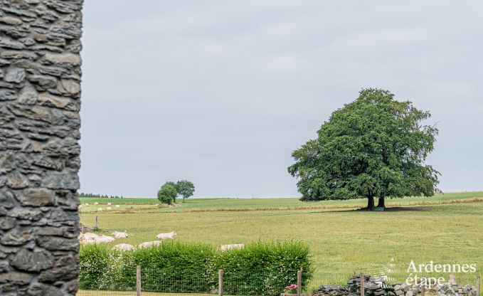 Maison de vacances  Bastogne pour 8 personnes en Ardenne