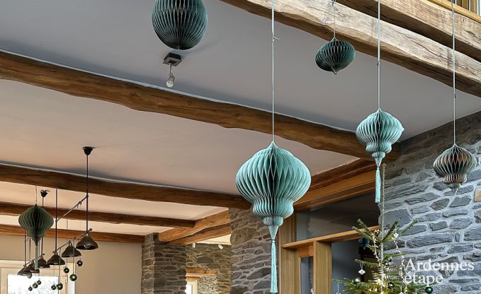 Spacieuse, maison chien admis pour 14  Bastogne, Ardenne