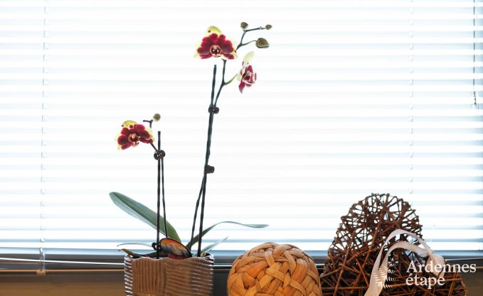 Maison de vacances  Bastogne pour 8 personnes en Ardenne