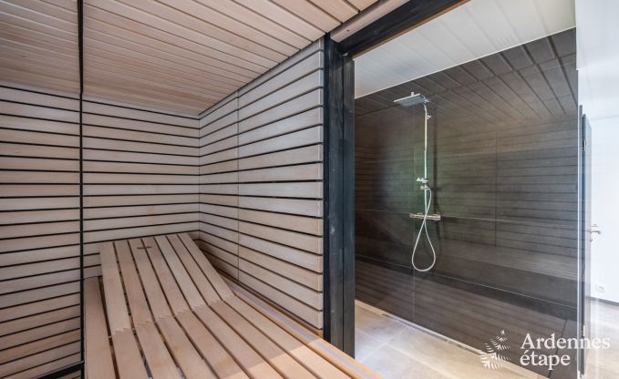 Villa de Luxe � Bastogne pour 12 personnes en Ardenne