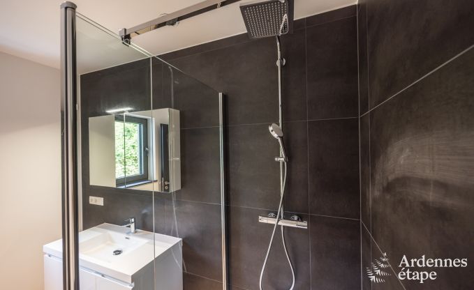 Villa de Luxe � Bastogne pour 12 personnes en Ardenne