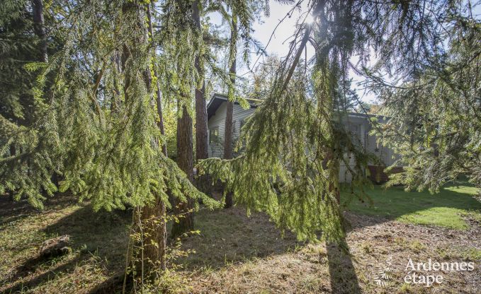 Chalet  Beauraing pour 4 personnes en Ardenne