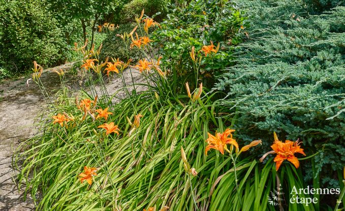 Luxe chalet avec sauna � Beauraing, Ardenne