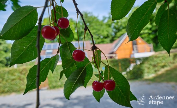 Luxe chalet avec sauna � Beauraing, Ardenne