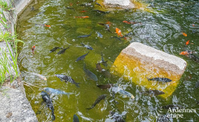 Ch�teau � Beauraing pour 20 personnes en Ardenne