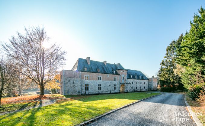 Château pour 38 personnes à Beauraing en Ardenne