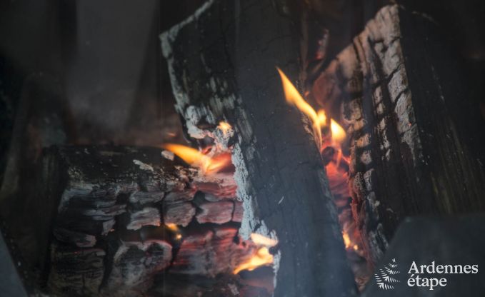 Maison de vacances � Beauraing pour 12 personnes en Ardenne