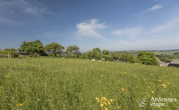 Maison de vacances  Beauraing pour 12 personnes en Ardenne