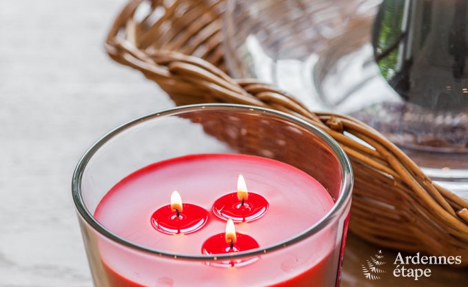 Chalet  Beauraing pour 12 personnes en Ardenne