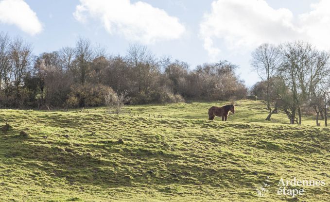 Maison de vacances � Beauraing pour 4 personnes en Ardenne