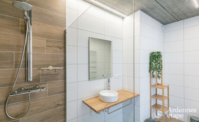 Villa de Luxe  Beauraing pour 18 personnes en Ardenne