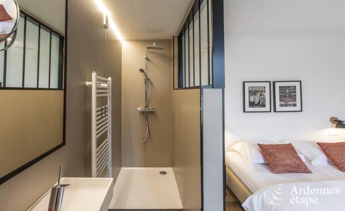 Magnifique ch�teau � Bertrix : h�bergement pour 20 personnes avec piscine int�rieure, jacuzzi et cabine infrarouge