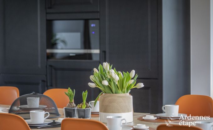 Magnifique chteau  Bertrix : hbergement pour 20 personnes avec piscine intrieure, jacuzzi et cabine infrarouge