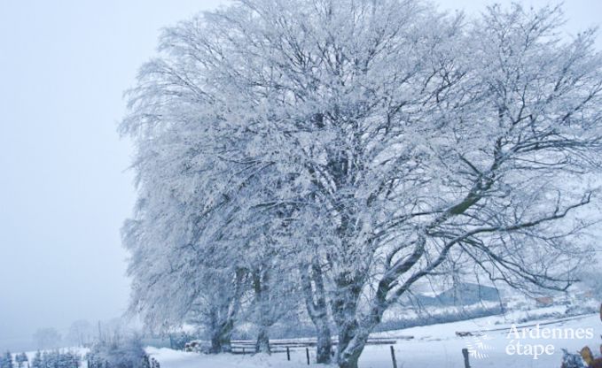 Maison de vacances � Bertrix (Jehonville) pour 7 personnes en Ardenne