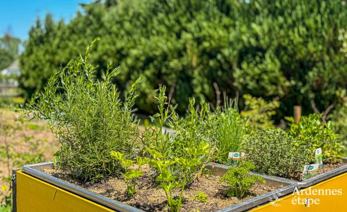 Maison de vacances familiale pour 8 personnes et 2 chiens � Jehonville