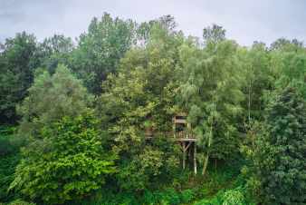 Cabane perchée pour 4/6 personnes à louer en Ardenne (Bertrix)
