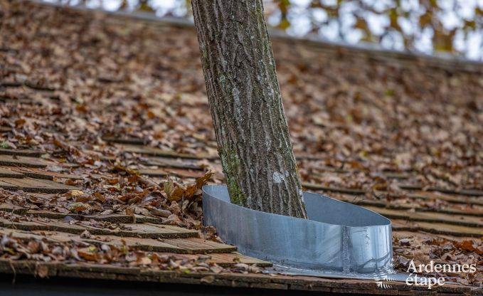 Cabane perch�e � Bertrix en Ardenne