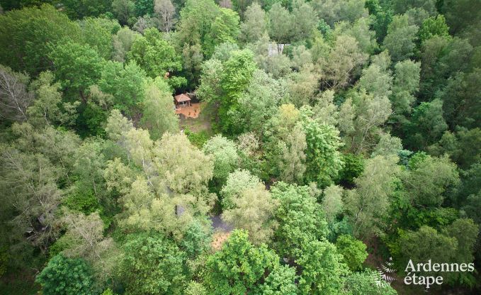 Cabane dans les arbres � Bertrix, Ardenne
