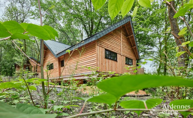 Cabane dans les arbres � Bertrix, Ardenne