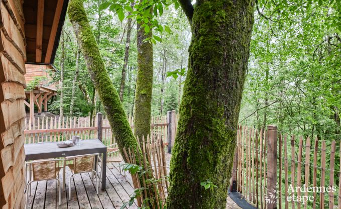 Cabane dans les arbres � Bertrix, Ardenne