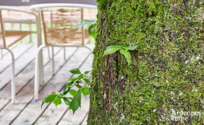 Cabane dans les arbres � Bertrix, Ardenne