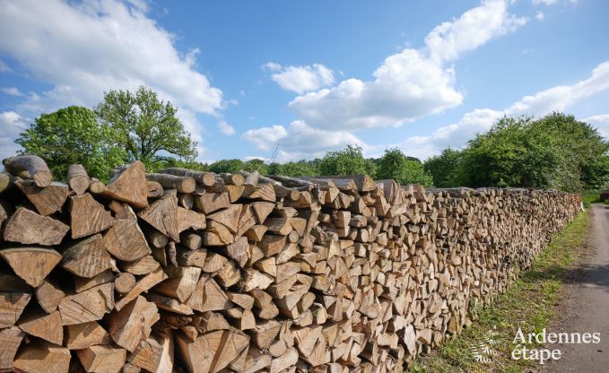 Maison de vacances moderne � Bertrix, Ardenne