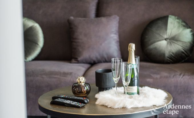 Maison de vacances moderne � Bertrix, Ardenne