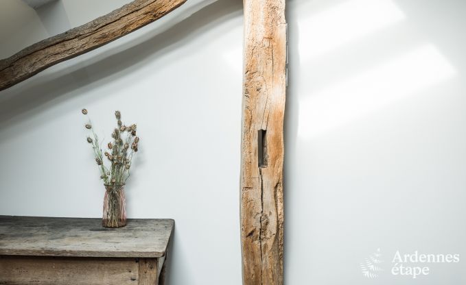 Maison de vacances moderne � Bertrix, Ardenne