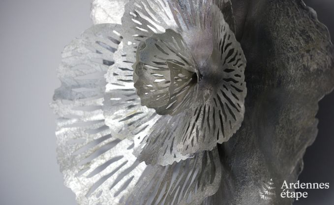 Maison de vacances moderne � Bertrix, Ardenne