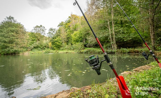 Villa de vacances de luxe avec sauna et terrasse � Auby-sur-semois, Ardenne belge