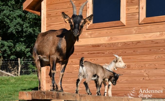 Vacances  la ferme  Bertrix pour 4 personnes en Ardenne