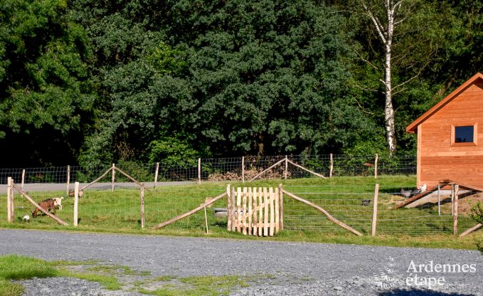 Vacances  la ferme  Bertrix pour 4 personnes en Ardenne