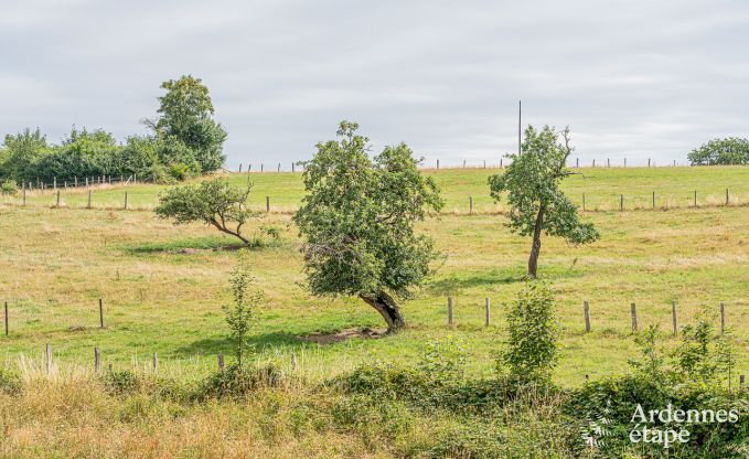 Maison de vacances � Bi�vre pour 4 personnes en Ardenne