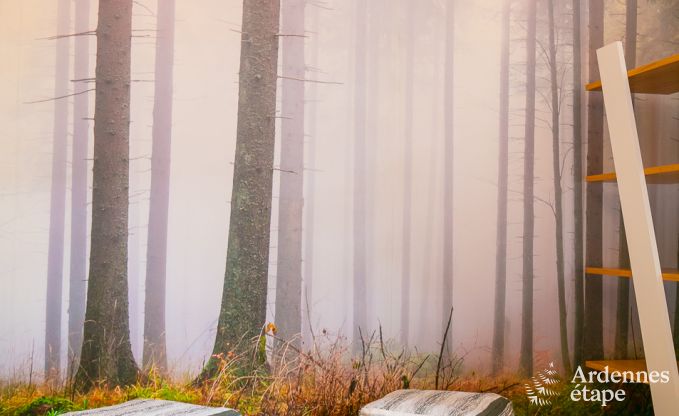 Maison de vacances � Bi�vre pour 12 personnes en Ardenne