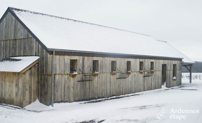 Villa de Luxe � Bi�vre pour 10 personnes en Ardenne