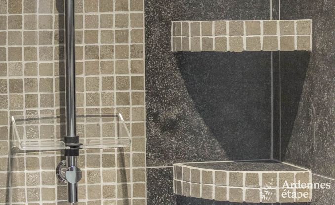 Villa de Luxe � Bi�vre pour 19 personnes en Ardenne