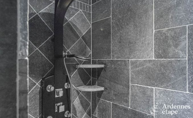 Villa de Luxe � Bi�vre pour 19 personnes en Ardenne