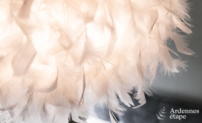 Maison de vacances  Bivre pour 12 personnes en Ardenne