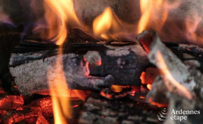 Maison de vacances  Bivre pour 12 personnes en Ardenne