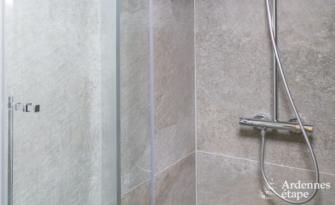 Maison de vacances  Bivre pour 12 personnes en Ardenne