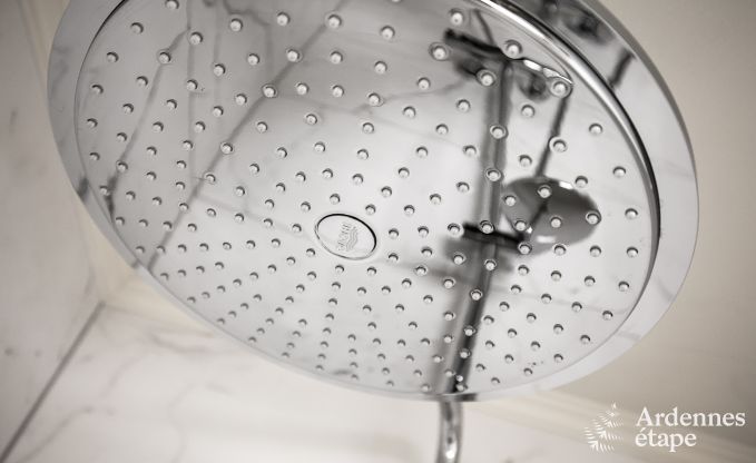 Maison de vacances  Bivre pour 12 personnes en Ardenne