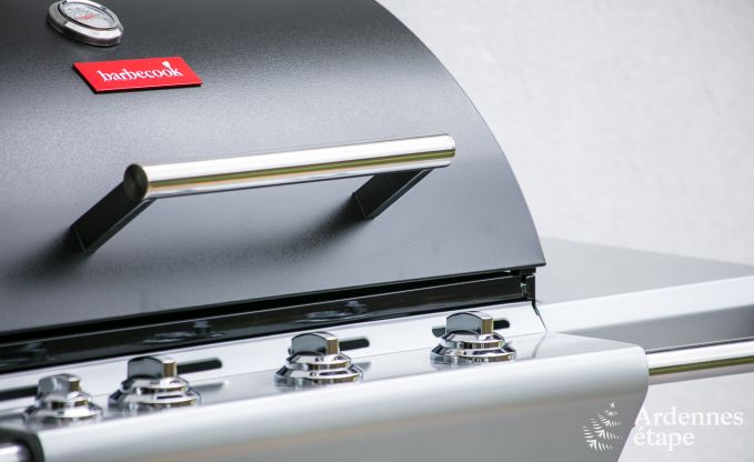 Maison de vacances  Bivre pour 12 personnes en Ardenne