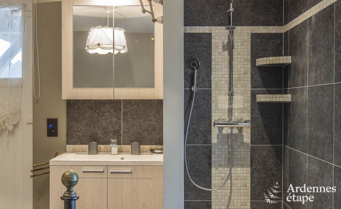 Villa de Luxe  Bivre pour 9 personnes en Ardenne