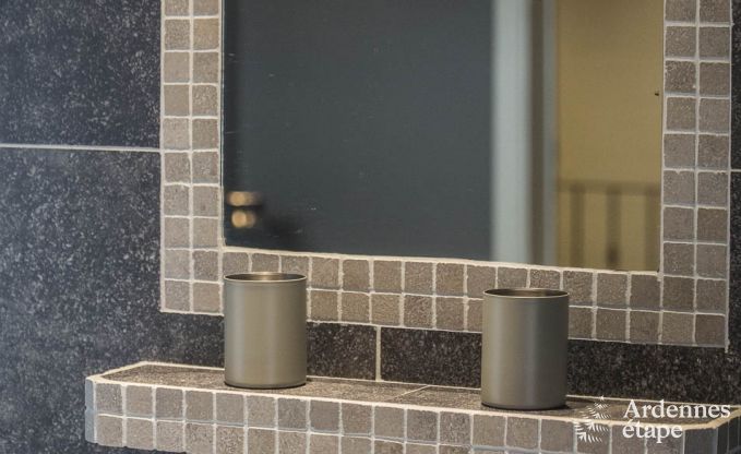 Villa de Luxe � Bi�vre pour 19 personnes en Ardenne