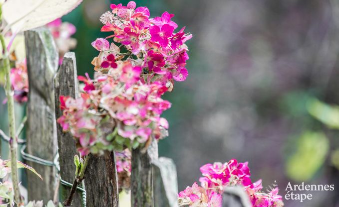 Magnifique maison de vacances � Bomal-Sur-Ourthe, Ardenne