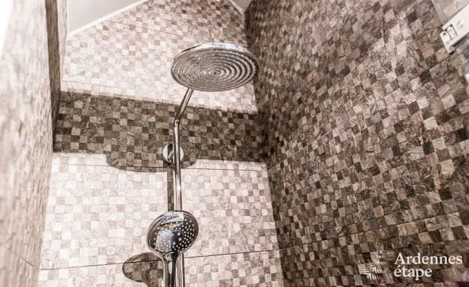 Magnifique maison de vacances  Bomal-Sur-Ourthe, Ardenne