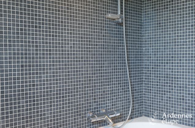 Maison de vacances  Bonsin pour 8/9 personnes en Ardenne