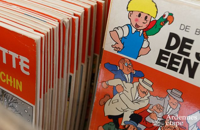 Maison de vacances  Bonsin pour 8/9 personnes en Ardenne