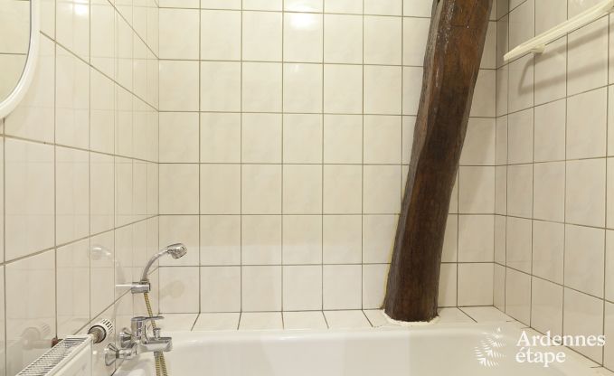 Maison de vacances  Bouillon (Ucimont) pour 8 personnes en Ardenne